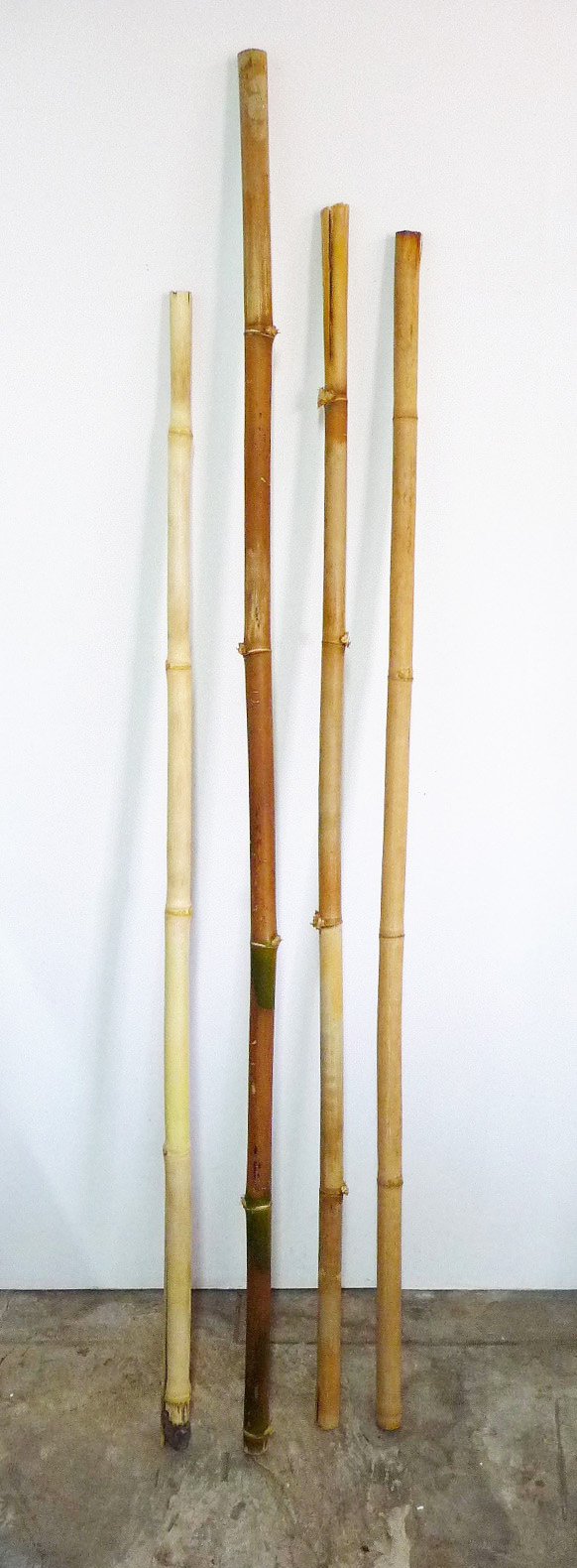 Kasper Kovitz; nor did I want to leave; 2009; lead in bamboo; 57 1/2" to 66 3/4" nor did I want to leave